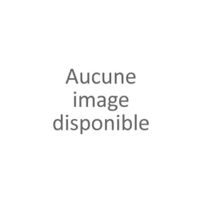 Baskets montantes fourrées femme (36-41)