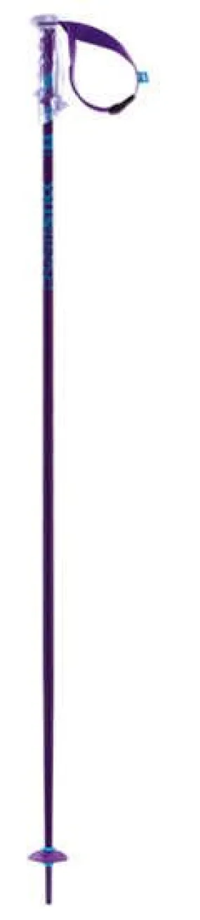 Bâtons Phantastick 2 Volkl