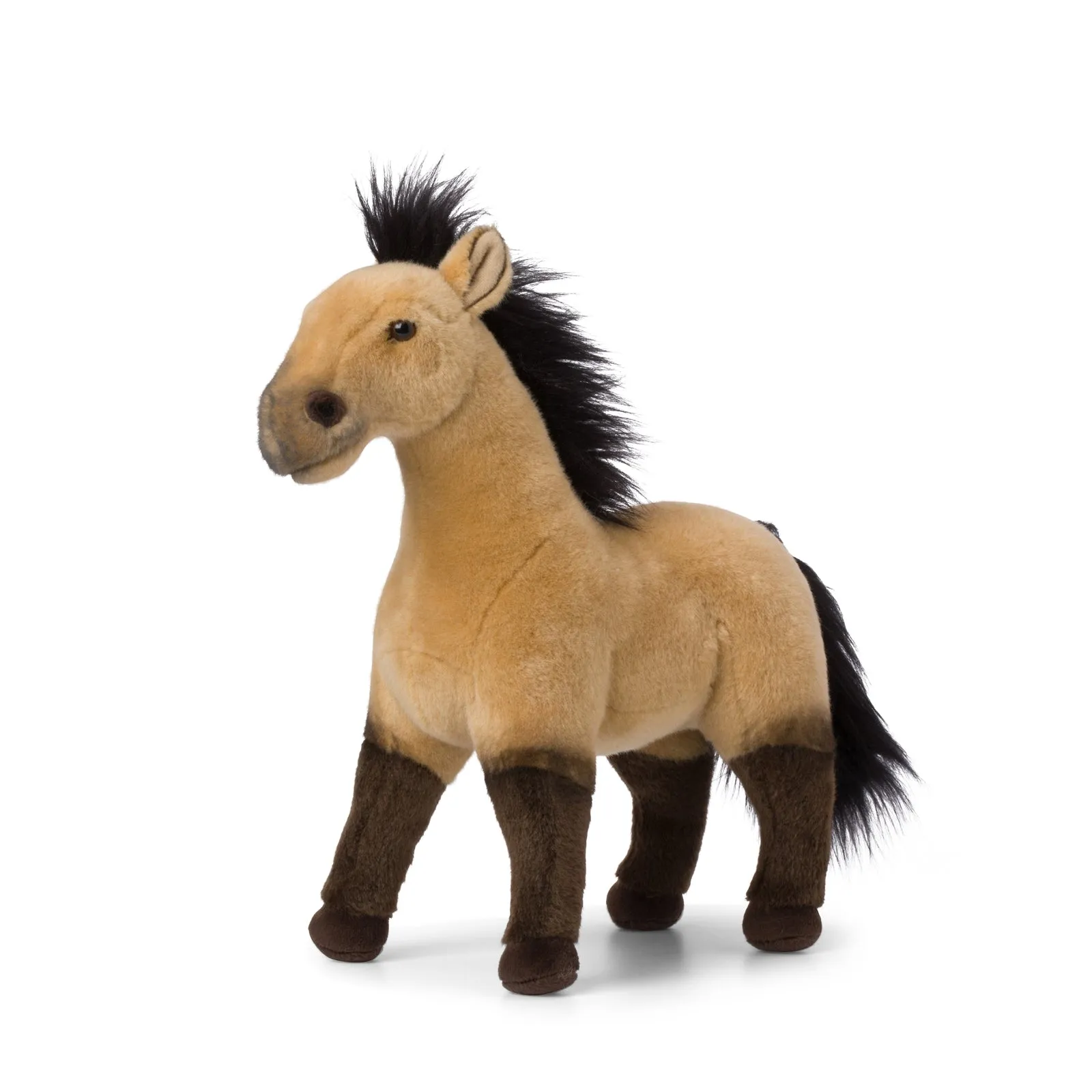 Cheval sauvage