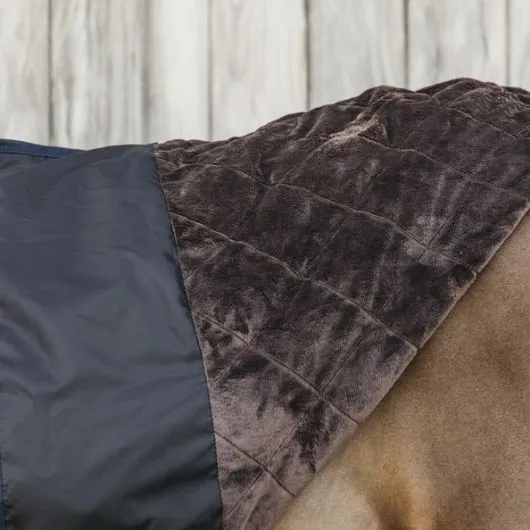 Couverture imperméable cheval All Weather Pro 0g - Kentucky Horsewear - KENTUCKY HORSEWEAR - Couvertures imperméables cheval - E