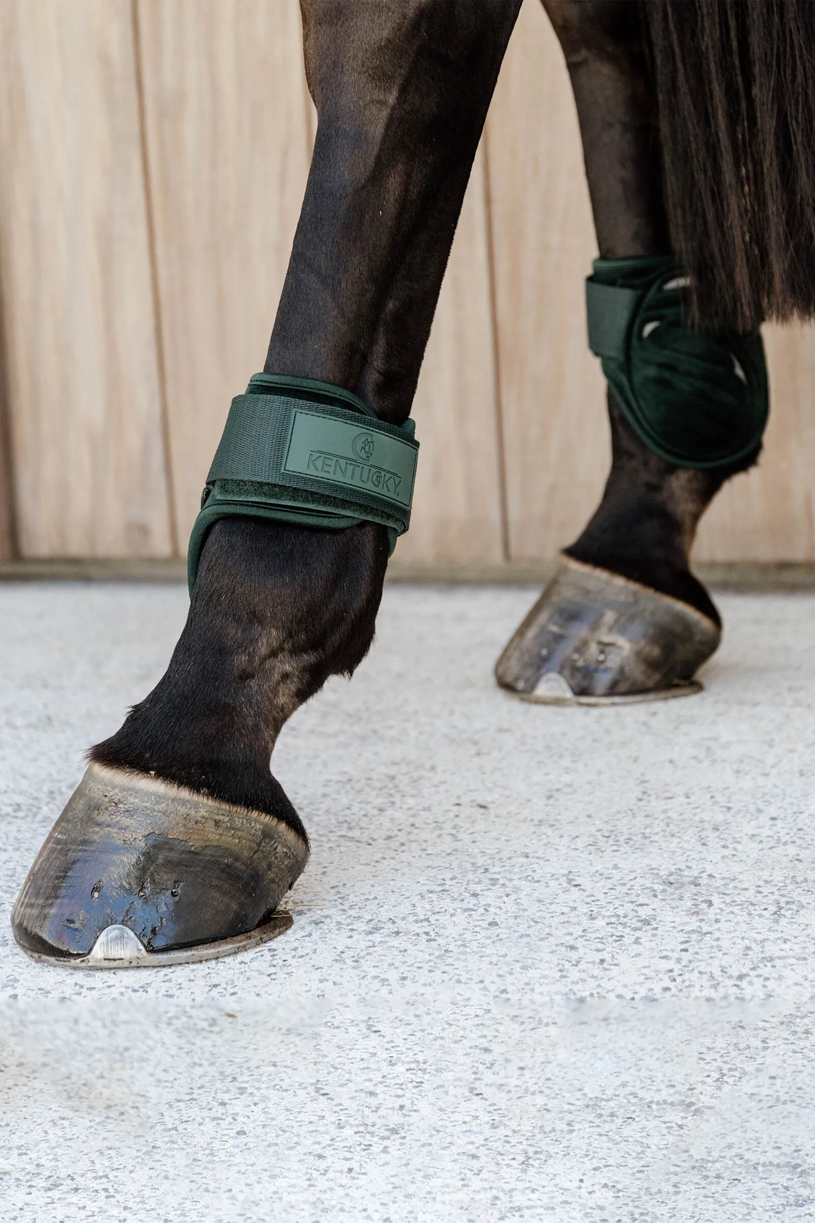 Kentucky Horsewear Protège-boulets en velours pour jeunes chevaux