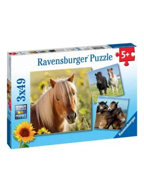 Puzzles 3x49 p Adorables poneys - N/A