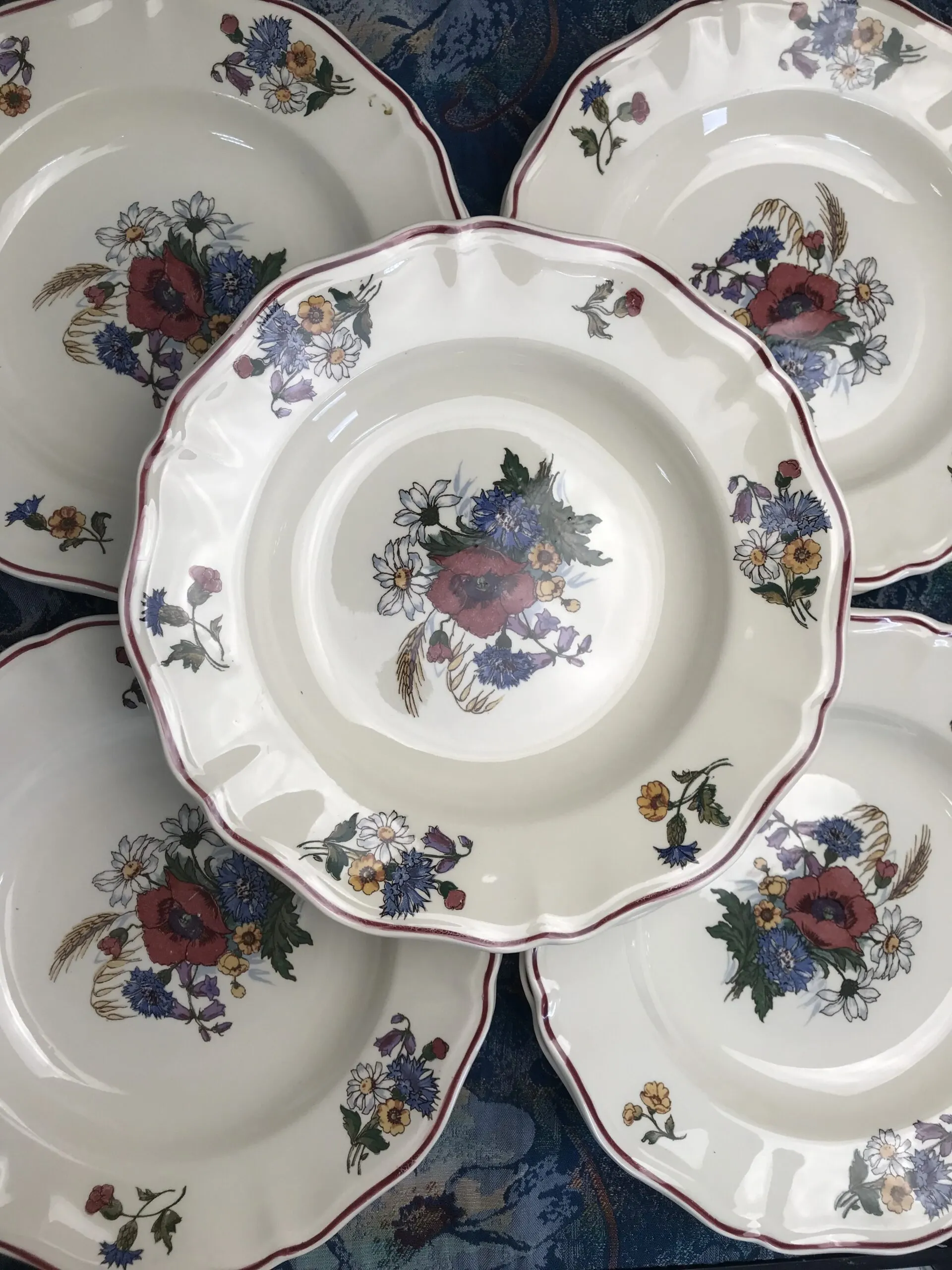 Service de 11 assiettes creuses Sarreguemines “Agreste” - Ressourcerie Histoires Sans Fin