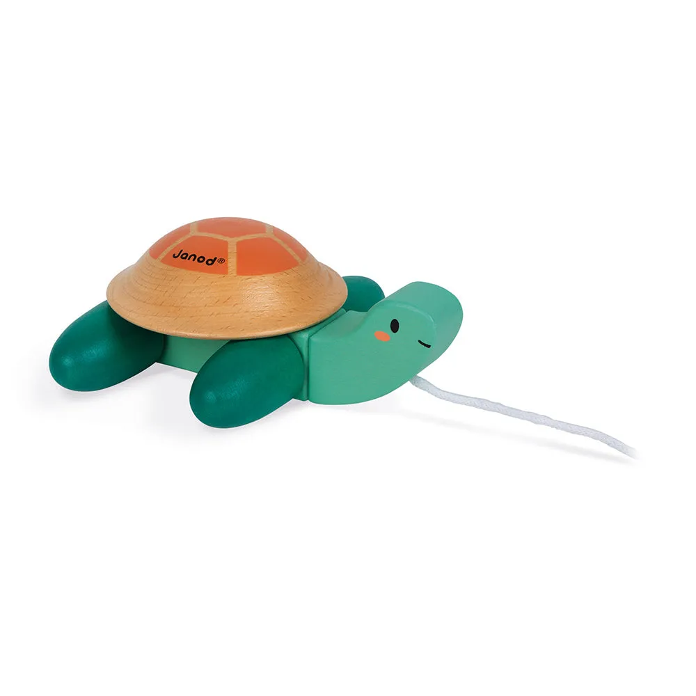 Tortue à promener