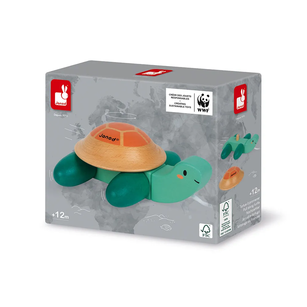 Tortue à promener